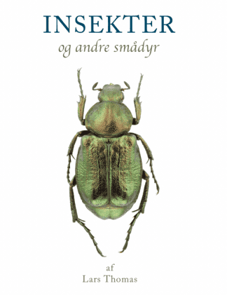 Insekter og andre smådyr