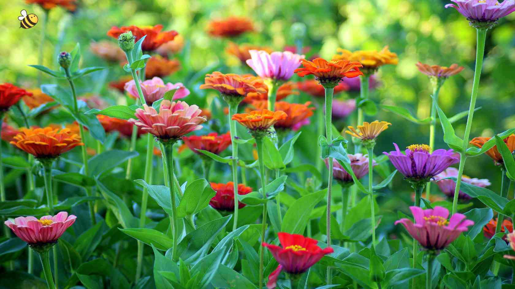 Gardening Gloves