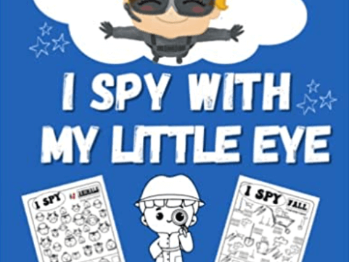I spy with my little Eye. Junky Shopper gift idea