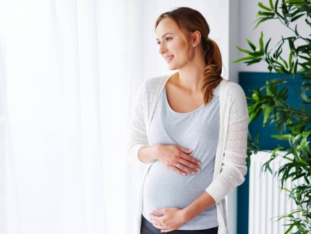 Pregnancy Pillow