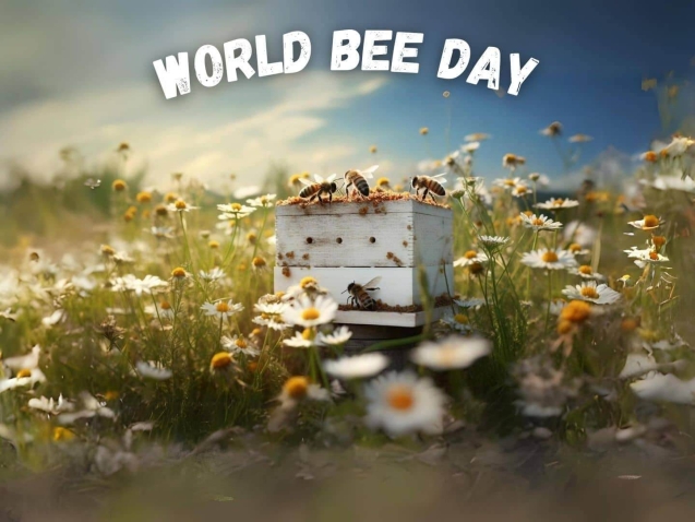 Best 9 Buzzworthy Gift Picks for World Bee Day
