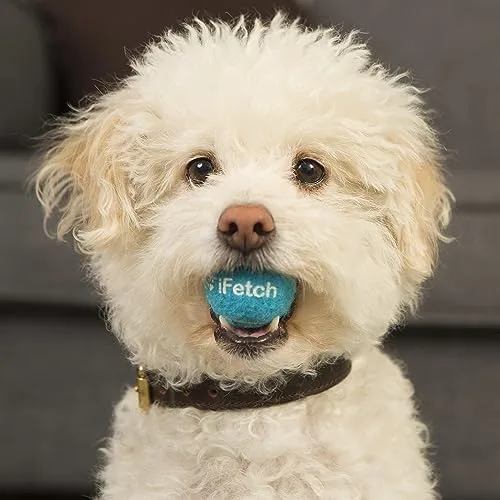 iFetch Mini Tennis Balls