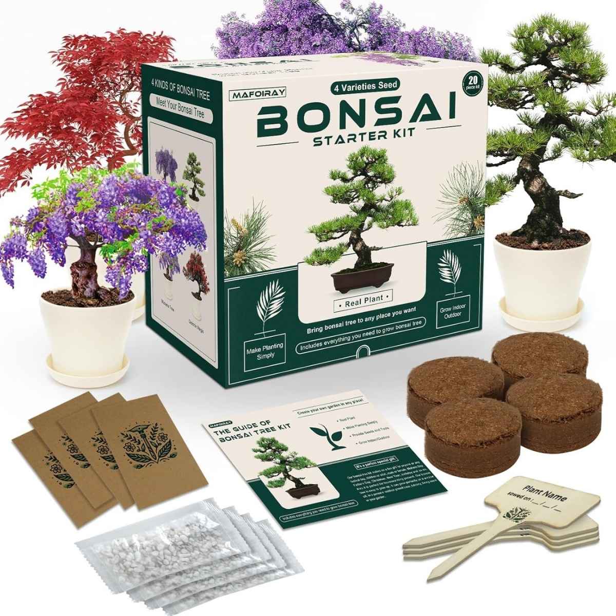 a box with plants in pots and seedlings