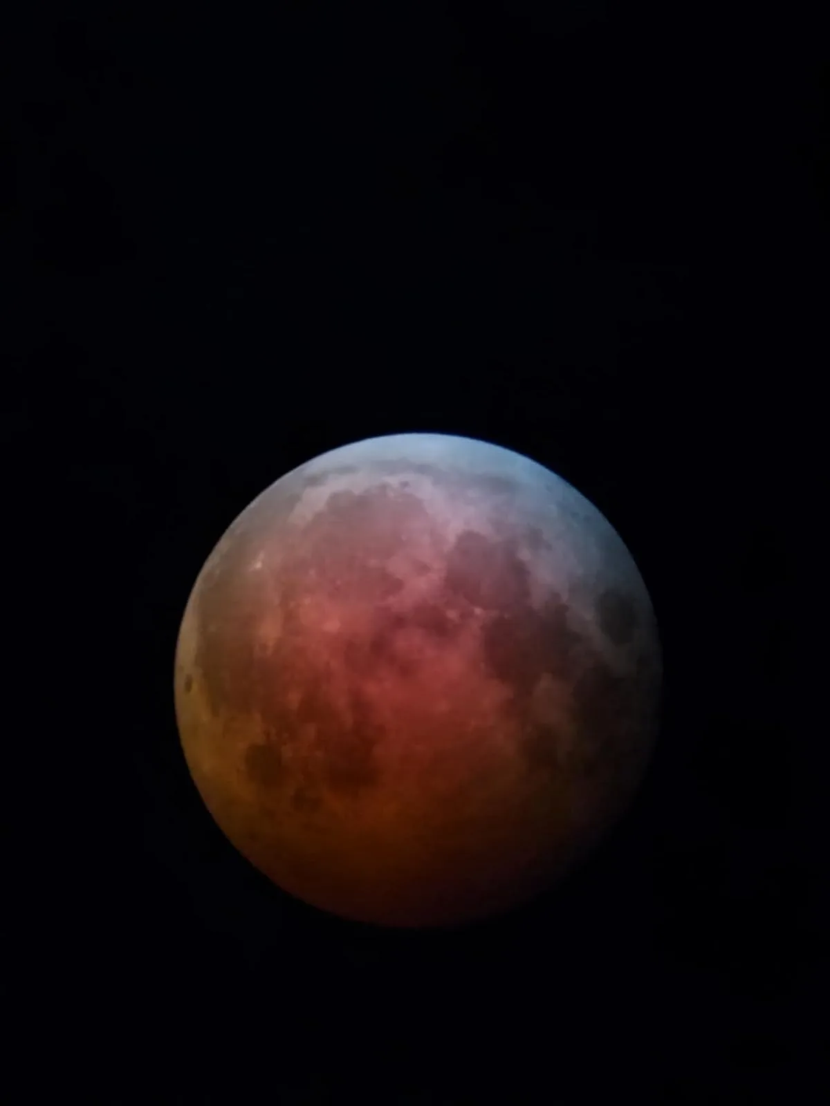Telescopes for Adults Astronomy Professiona