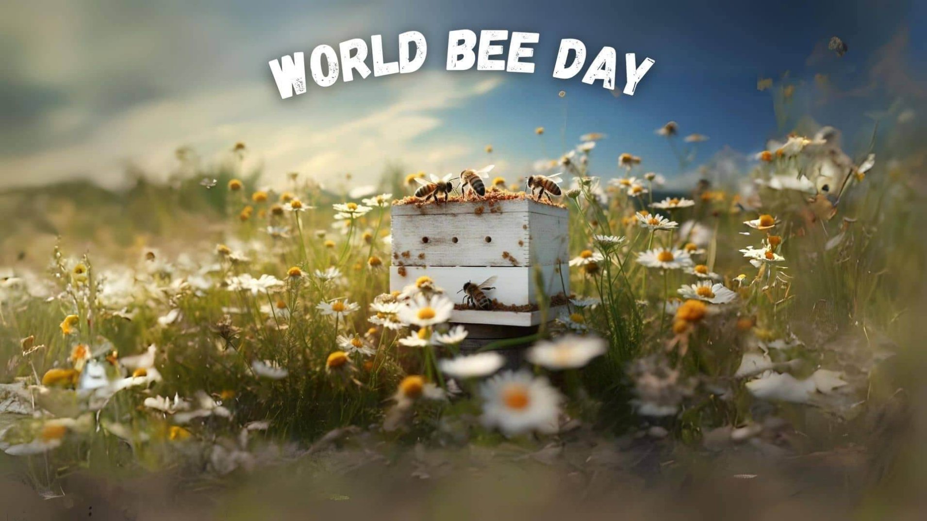 Best 9 Buzzworthy Gift Picks for World Bee Day