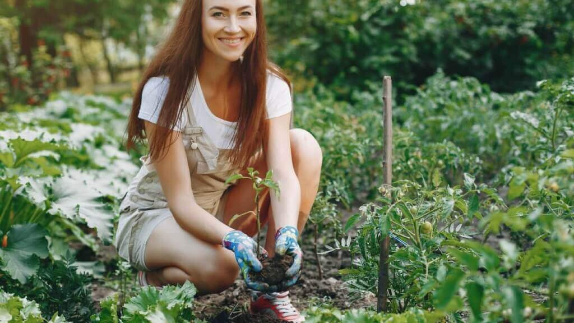 Gardening Gifts