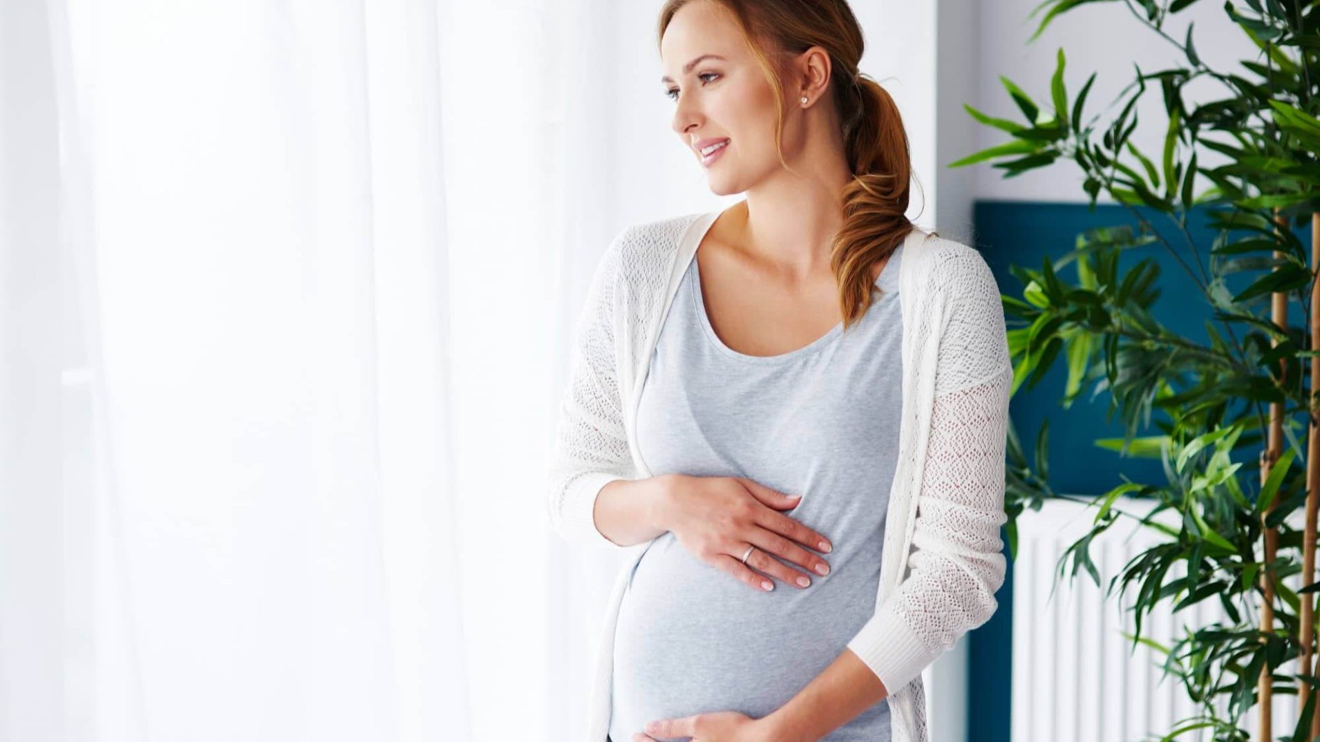 Pregnancy Pillow