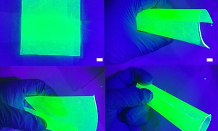 Extremely Stable Perovskite Nanoparticles Films for Next-Generation Displays