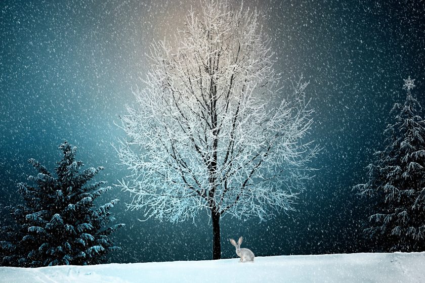 winter 2896970 840x560 - Boże Narodzenie - wierzenia i tradycje