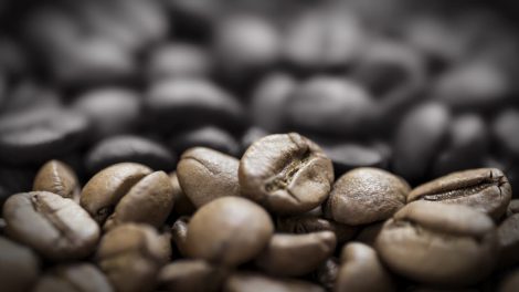 Coffee Beans