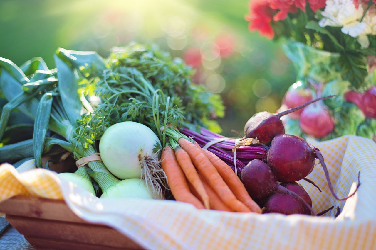 Carrot and turnip cultural products