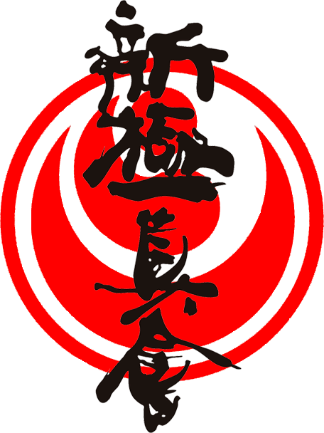 Karate nijmegen shinkyokushin virtuesport