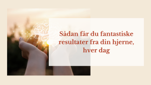 Read more about the article Sådan får du fantastiske resultater fra din hjerne, hver dag
