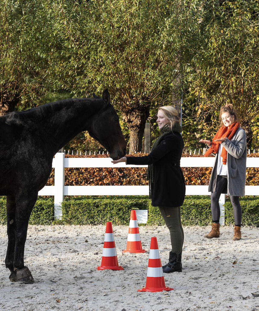 Ervaring Karen Op't Eynde - Ervaring