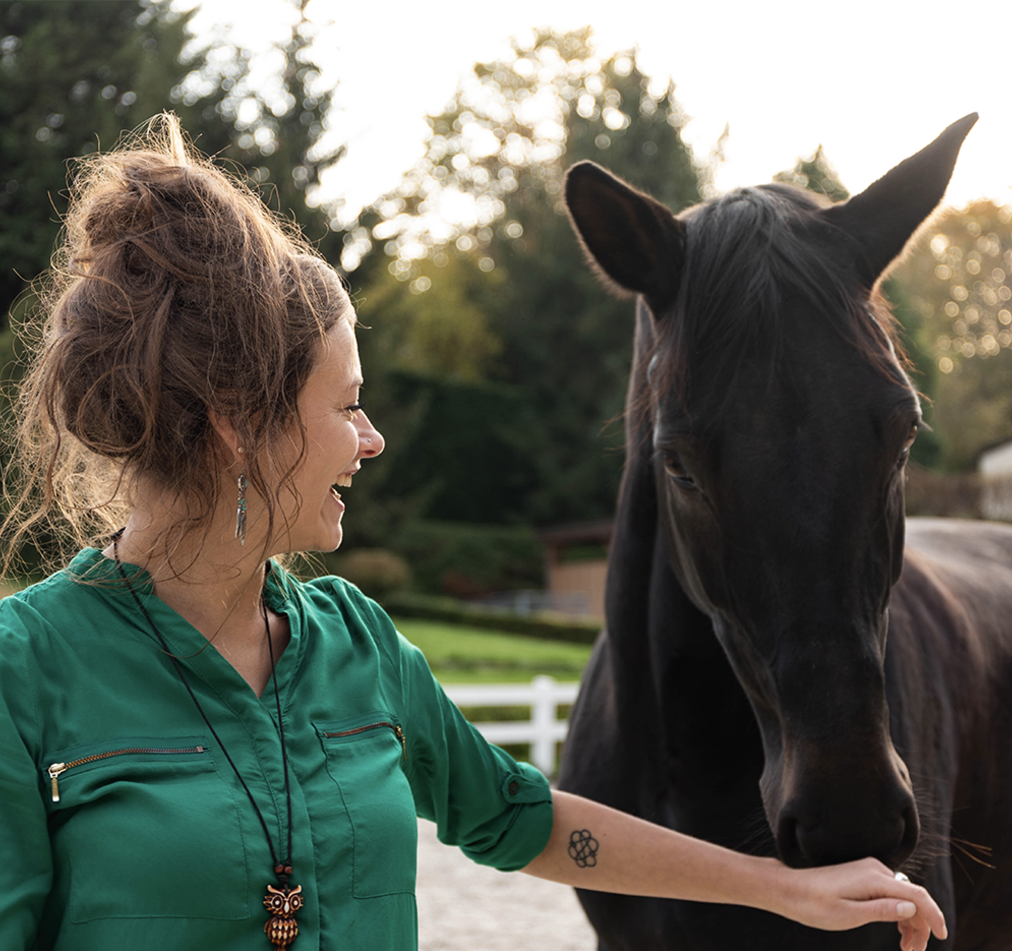 Karen-Intro Karen Op't Eyde - Paard