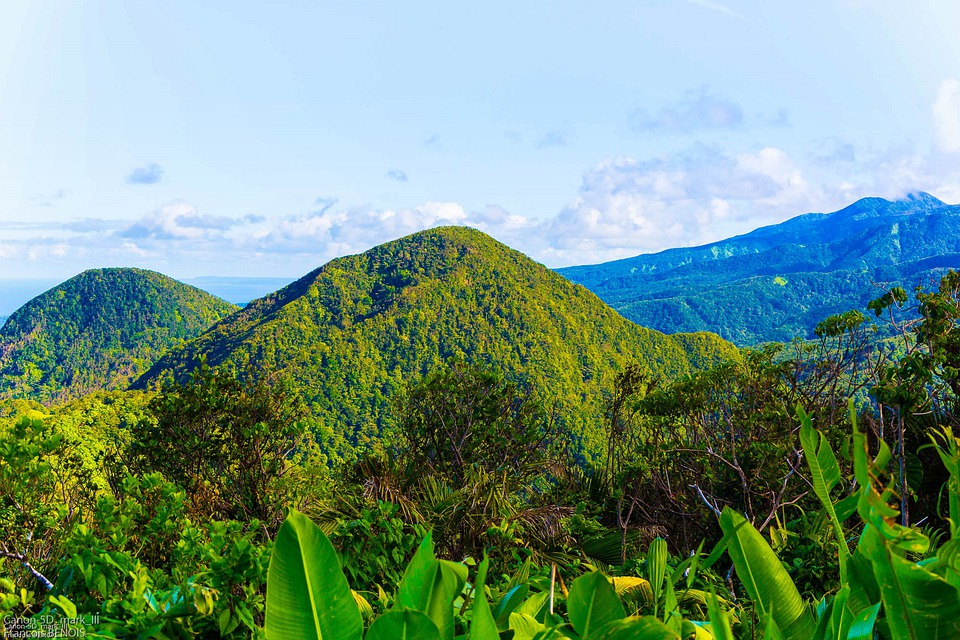 Inselhüpfen Guadeloupe Archipel 2 WOCHEN AB € 1.254