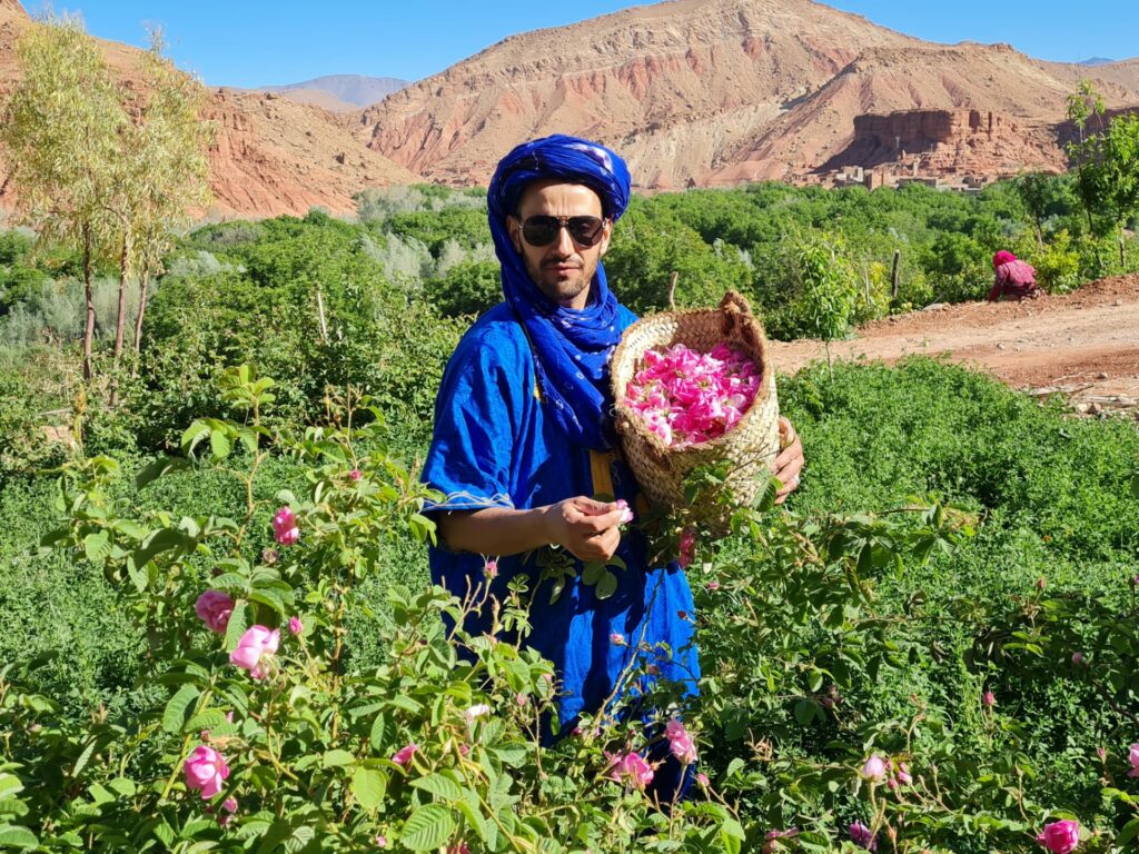 picking roses