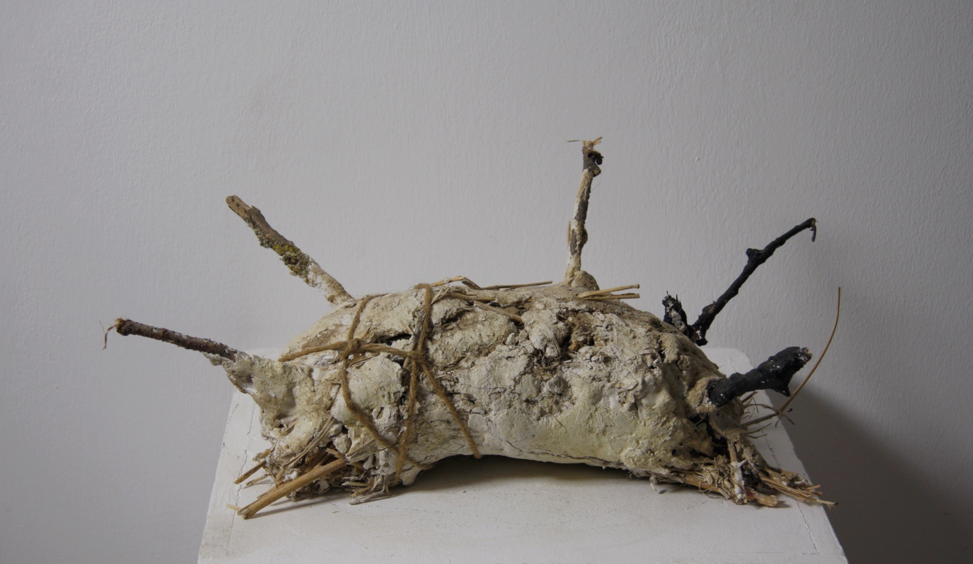 "Käfer", Gips, Holz, Stroh, Garn,  50x25x20 cm, 2013