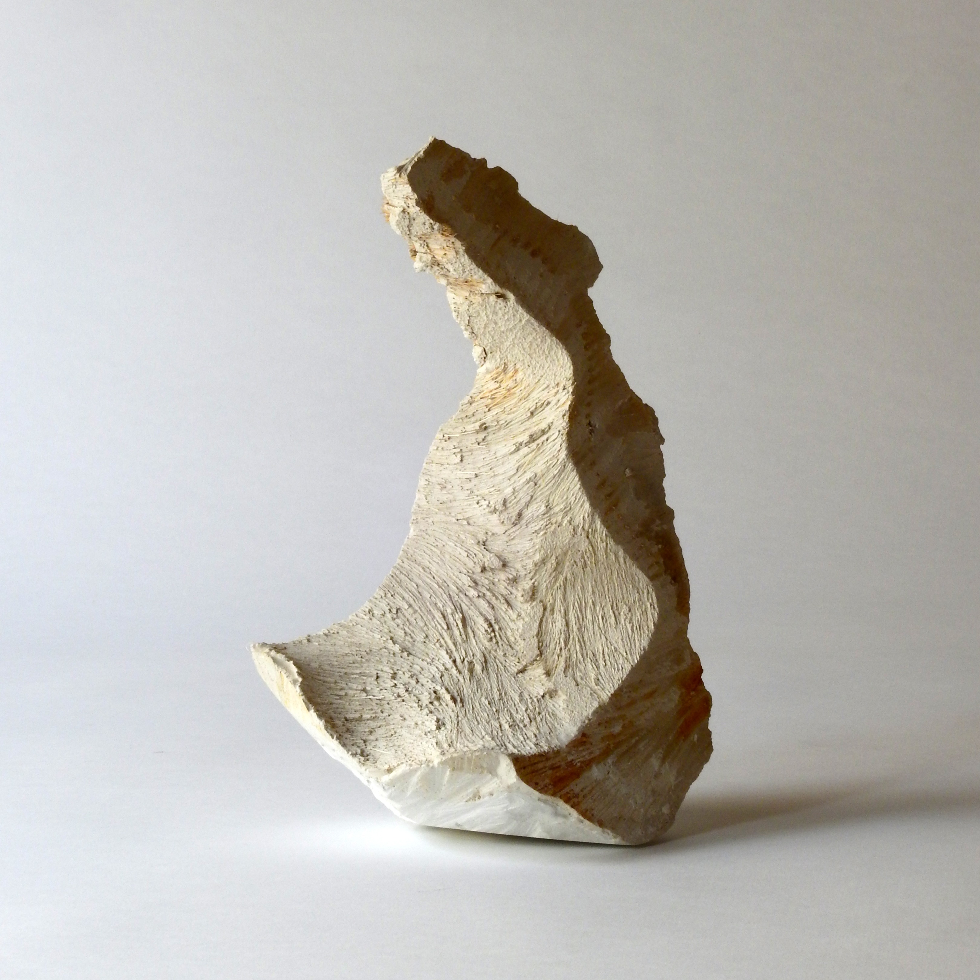 "Piece of deer II", Gips, Haar, 23x16x11 cm. 2021