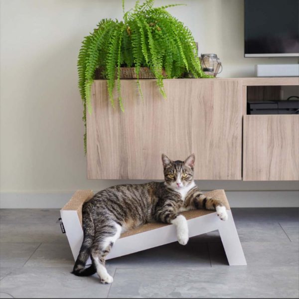 Een getijgerde kat ligt elegant op de SOFA, een Modern design Krabmeubel van District70