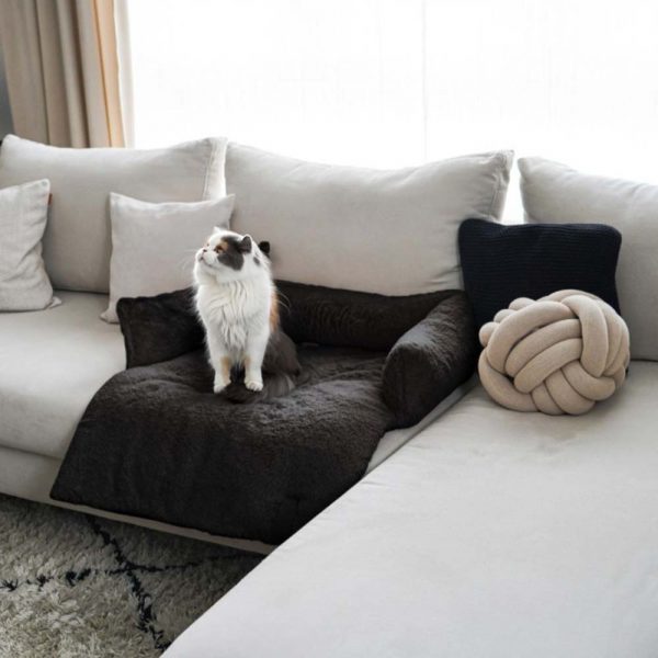 De kat geniet van haar donkergrijs nuzzle sofa bed van district70. Op die manier wordt de sofa niet vuil.
