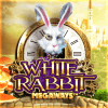 White Rabbit