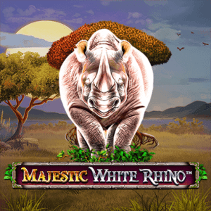 Majestic White Rhino