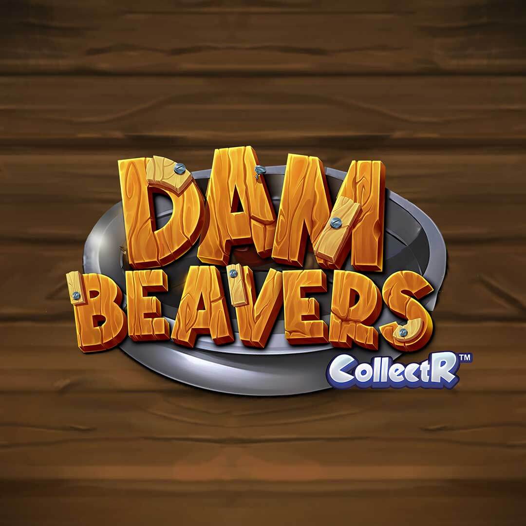 Dam Beavers