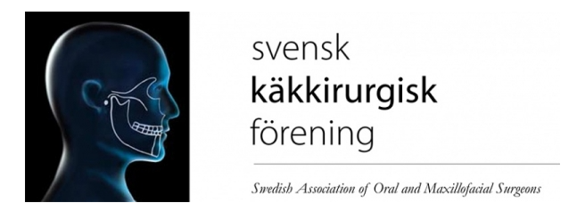 Skärmbild 2025-06-25 143507 Skarmbild 2025 06 25 143507