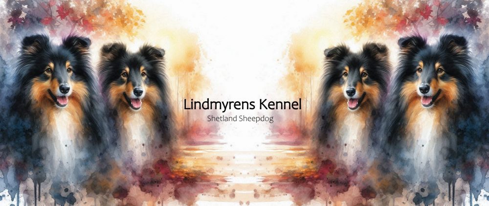 Lindmyrens Kennel