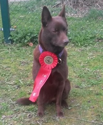 150425-26 Stort grattis till Sandskogen Clara och Eva!