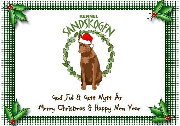 Kennel Sandskogen önskar God Jul!