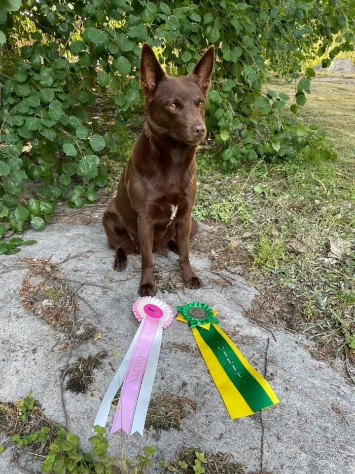 Sandskogens Flyga och matte Annika