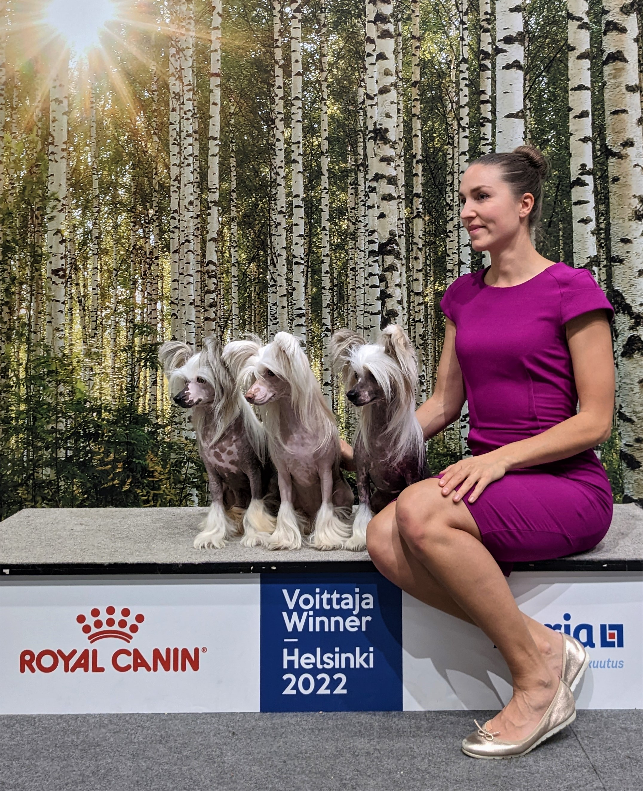 Featured image for “Finnish Winner Show”