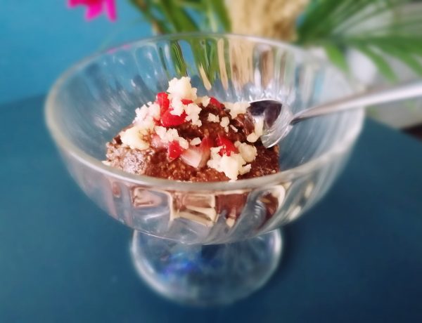 pudding au chocolat cétogène végétalien