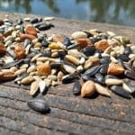 Noten en zaden bij een medisch ketogeen dieet bij epilepsie