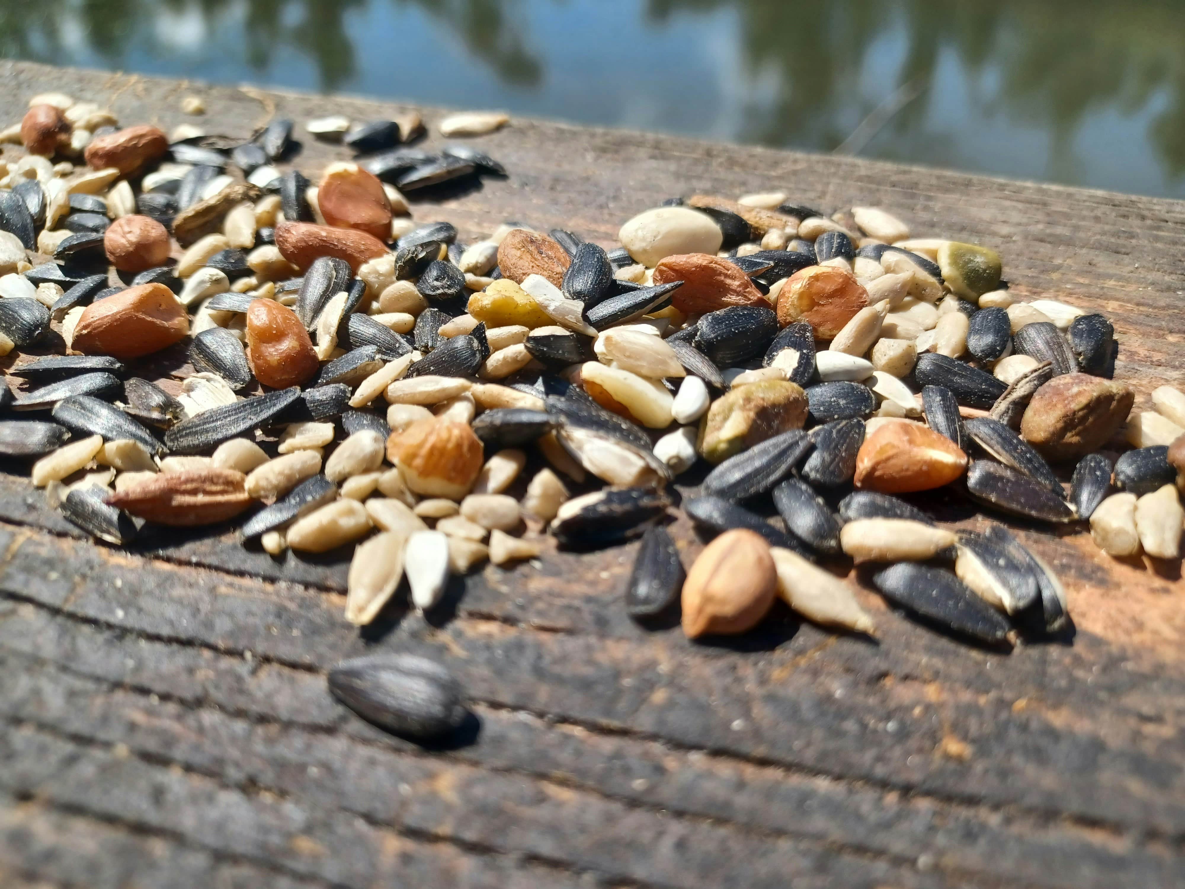 Noten en zaden bij een medisch ketogeen dieet bij epilepsie