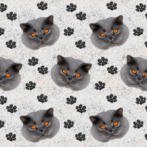 British shorthair katte design