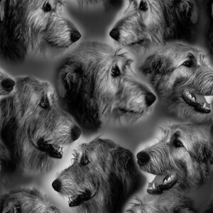 Design selv foto irsk hyrdehund