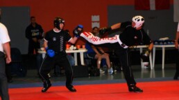 Scandinavian Open 2008