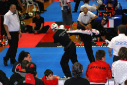 WAKO Bestfighter i Italien 2008 - Billede to