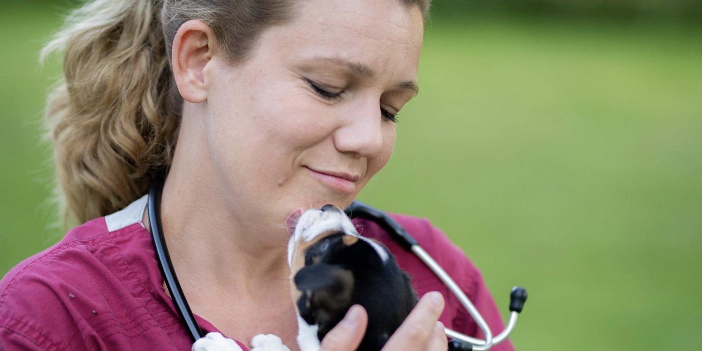 Lilla Veterinärskolan