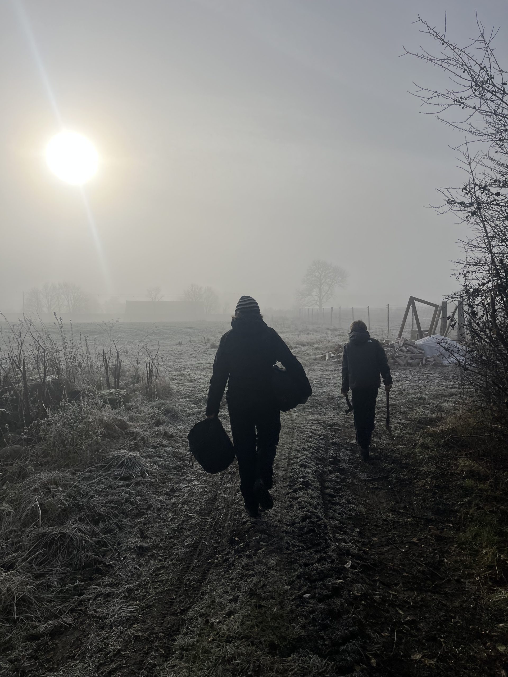 Foto af to personer, der går mod solen i tågen