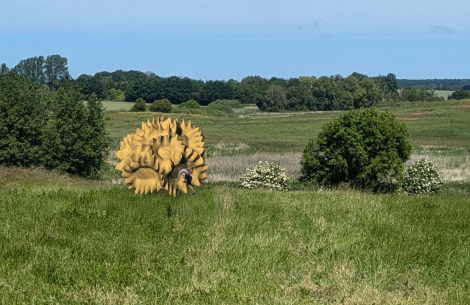 Pollenly i naturen (Visualisering indsat i foto med AI)