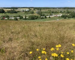 Foto: Jette Hviid