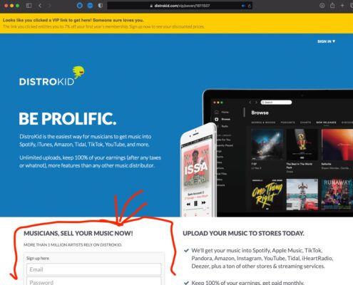 DistroKid guide 1