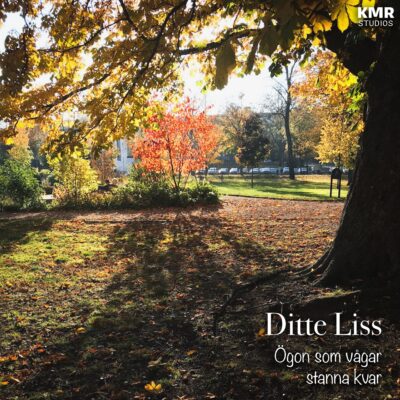 Konvolut - Ditte Liss - Ögon som vågar stanna kvar