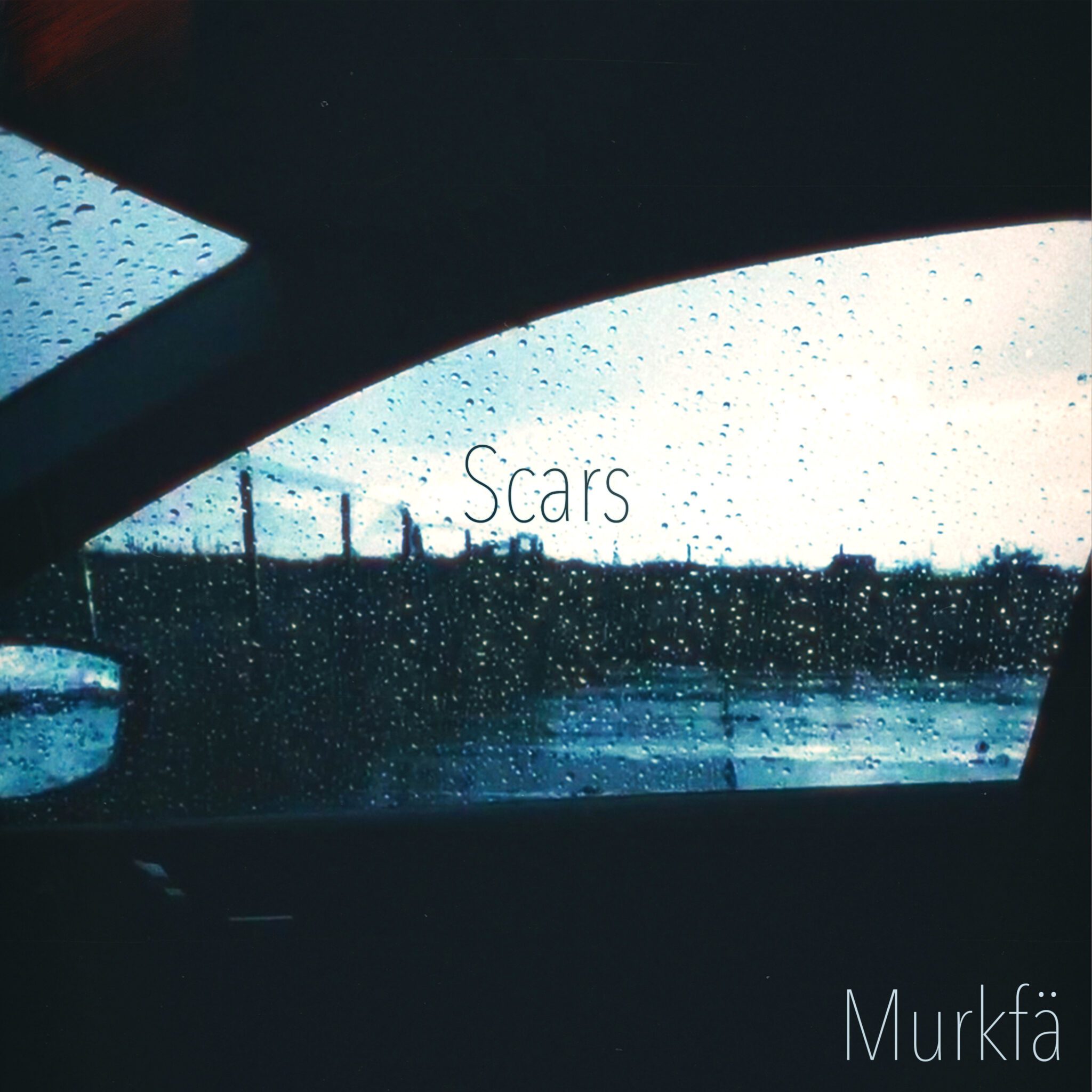 Murkfä-konvolut-scars
