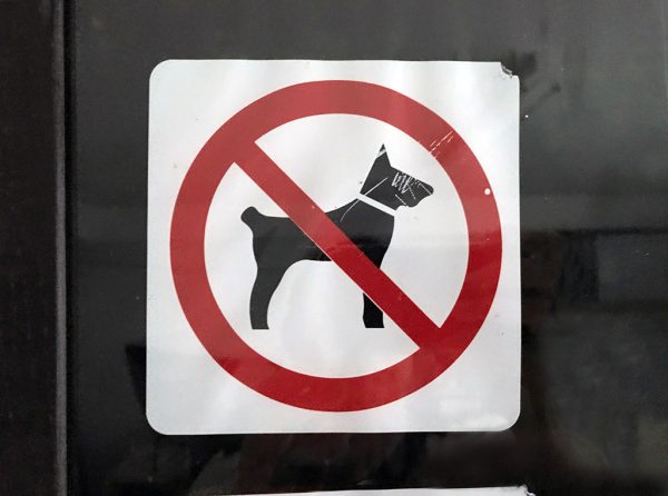 Kim Engelen, Detail-shot, Dog Friendly Environment, 178x121,4x5 cm, 1998