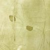 Kim Engelen, Ilse & Gerben—Detail No.1, Etching, Detail 1, 1997